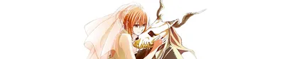 The Ancient Magus' Bride Now Complete on Crunchyroll
