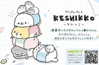 Keshiko