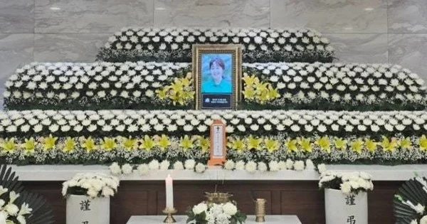 Hee-sun Kang, Korean Voice of Crayon Shin-chan's Mother, Dies at 65