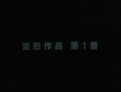 Metamorphose Works No.1