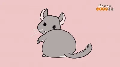 Encyclopedia of Pitiful Creatures (2021)