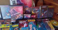 Megami Tensei Creator Aya Nishitani Self-Translating Original Novels