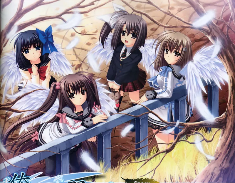 Ecchi Harem "We Without Wings" Now on Crunchyroll, Hulu