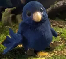 Hei, Yu