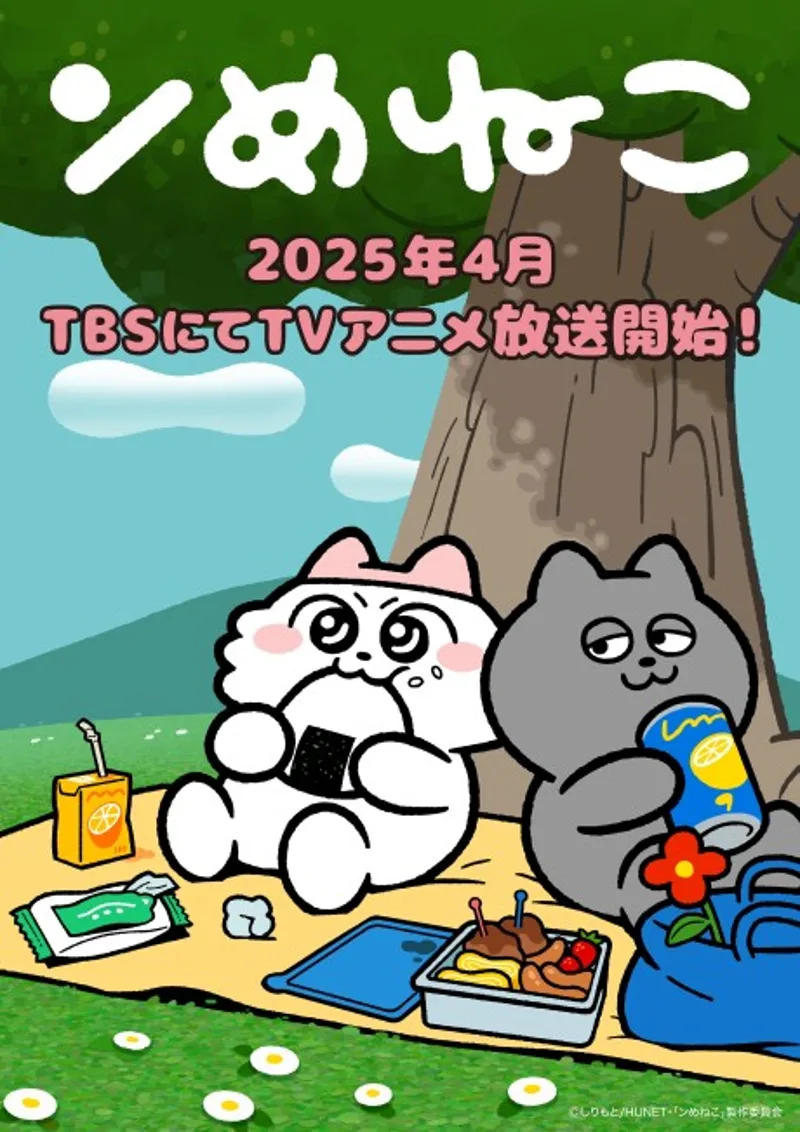 Nmeneko Anime Reveals First Trailer with Cat Comedy