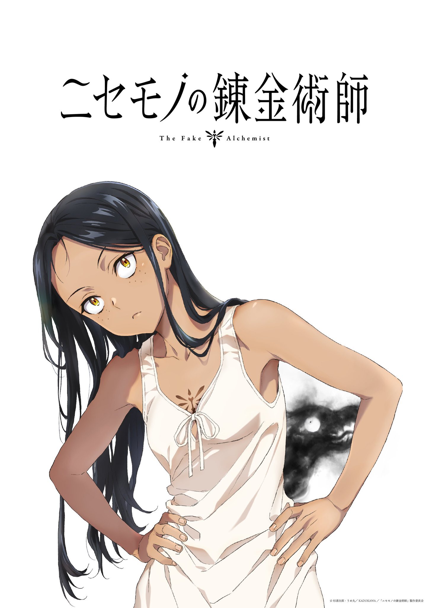 The Fake Alchemist Manga Gets TV Anime Adaptation by Passione