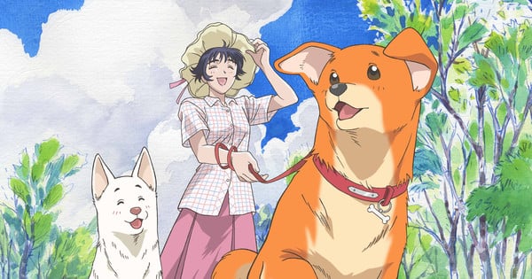 SkySet Entertainment to Stream, Dub Go Forward Anime