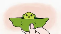 Mameshiba 2nd Season