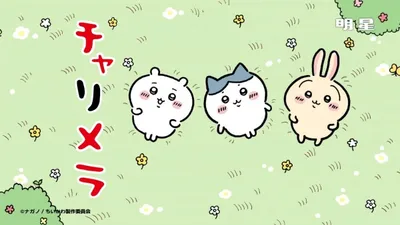 Charumera x Chiikawa