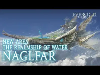 Video 4