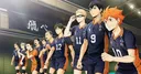 Haikyu!! ALL Challengers Mobile Game Reveals New Promotional Video