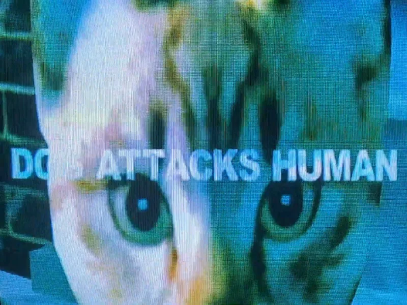 NINJAS' 'Dog Attacks Human' Music Video Now Streaming