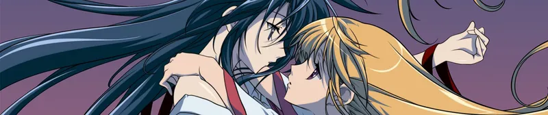 Destiny of the Shrine Maiden Now Streaming on HIDIVE