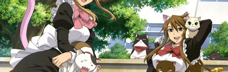 Nyan Koi! Now Streaming on HIDIVE and Hulu