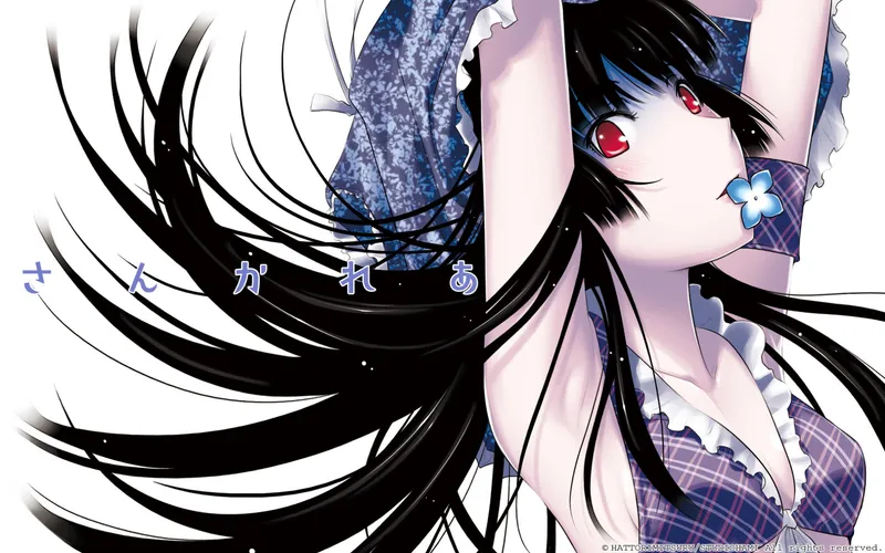 Sankarea: Undying Love Now Streaming on Hulu and Crunchyroll