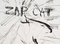 Zap Cat