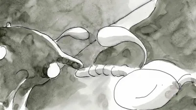 The Story of a Motorbike