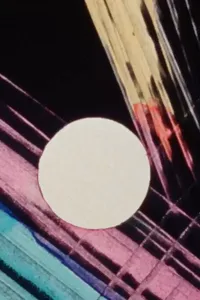 NOISE